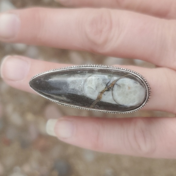 New Oversized Orthoceras Fossil Antique Design 925 Silver Statement Ring. - Picture 7 of 11